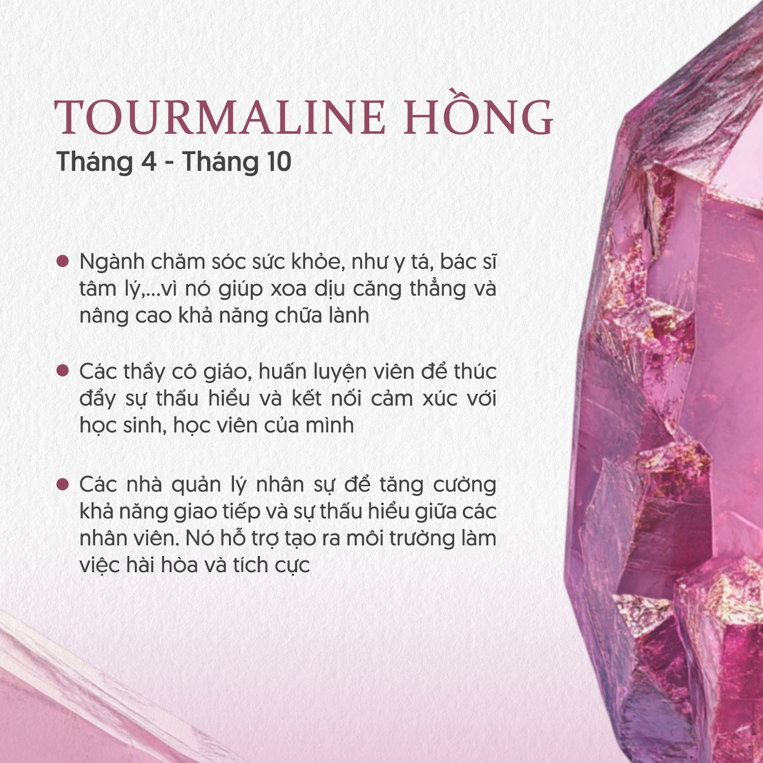 Mirada Loop Chain Bracelet - OfTheSun